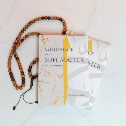 Guidance of a Sufi Master from Kashmir