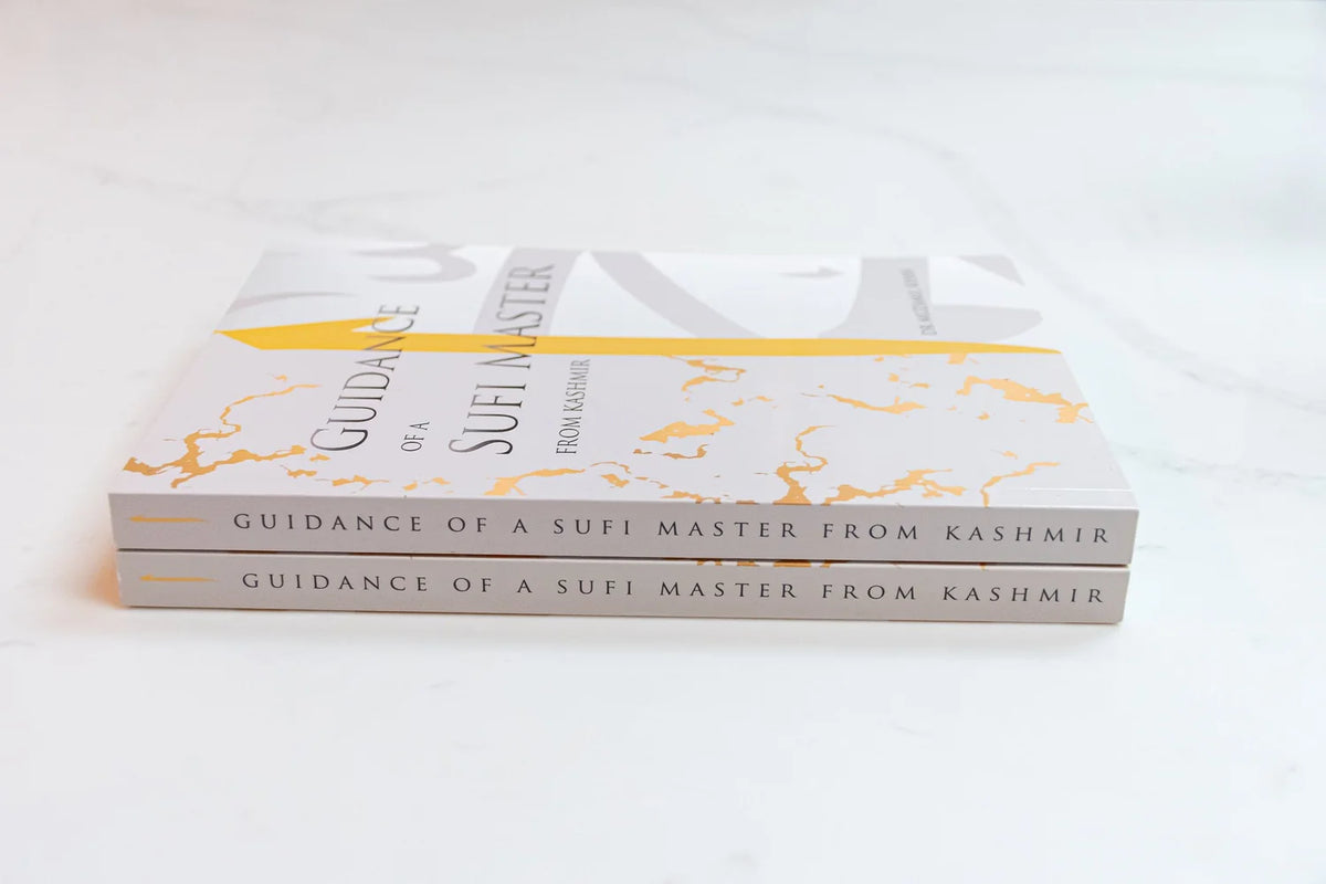 Guidance of a Sufi Master from Kashmir