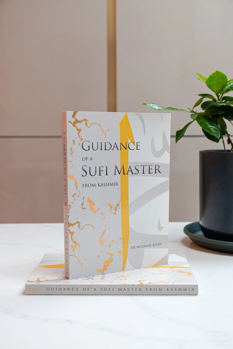 Guidance of a Sufi Master from Kashmir